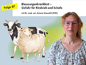 Portrait einer Frau mit Zeichnung einer Kuh und eines Schafs daneben.