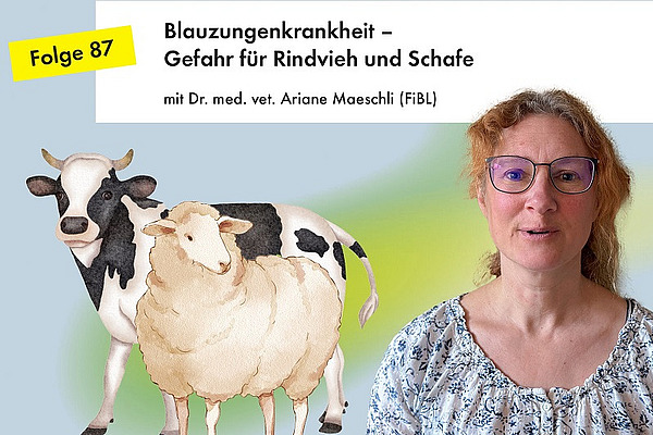 Portrait einer Frau mit Zeichnung einer Kuh und eines Schafs daneben.