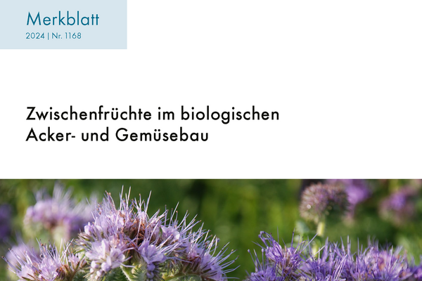 Cover: Zwischenfrüchte im biologischen Acker- und Gemüsebau.