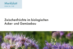 Cover: Zwischenfrüchte im biologischen Acker- und Gemüsebau.