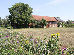 A courtyard with flower strips in the foreground.