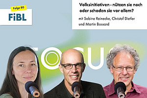 3 Personen mit Podcast-Mikrofonen.