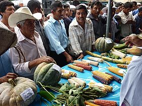Maisbauern in Mexiko