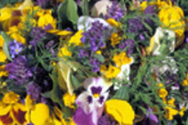 Strauß aus ökologisch kultivierten Blumen auf dem Wochenmarkt