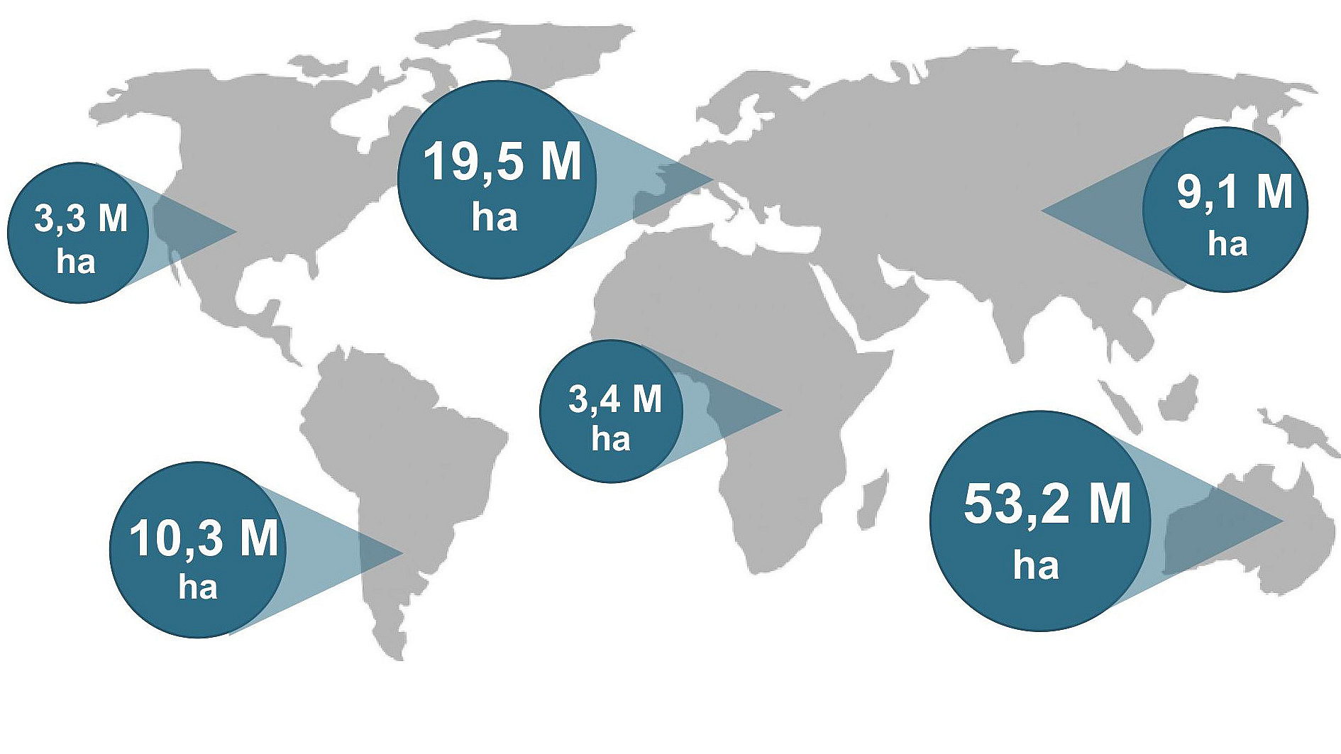  Infografik zur Biolandwirtschaft weltweit 2023.