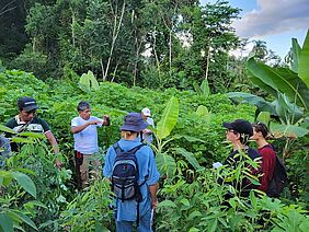 People in an agroforestry plot.