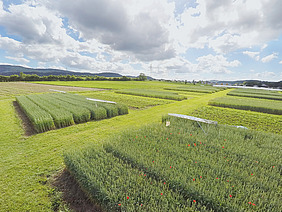 The DOK trial on a slightly cloudy day.