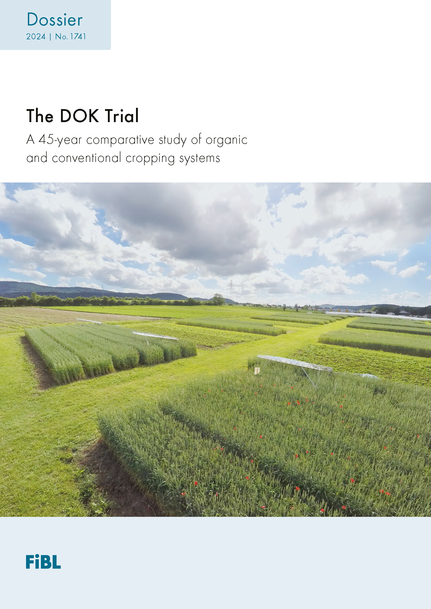 Cover: The DOK Trial.