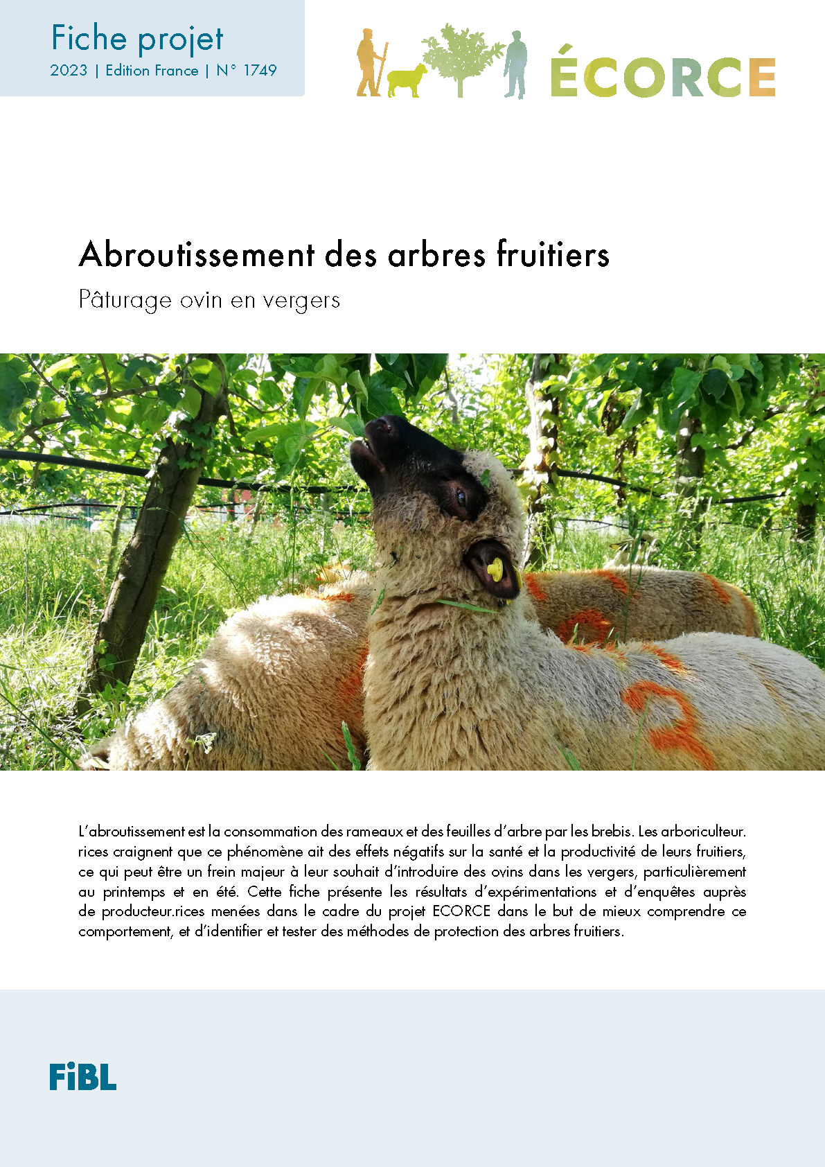 Cover: Abroutissement des arbres fruitiers