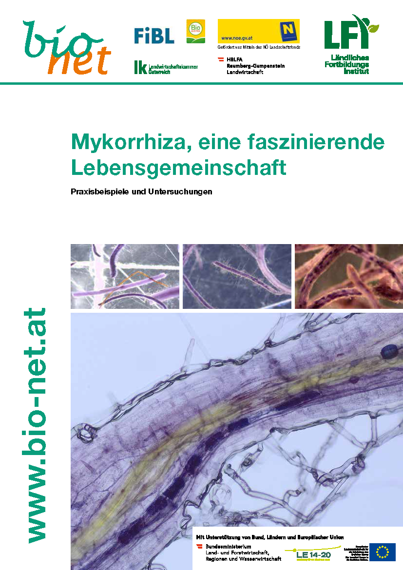 Cover: Mykorrhiza, eine faszinierende Lebensgemeinschaft
