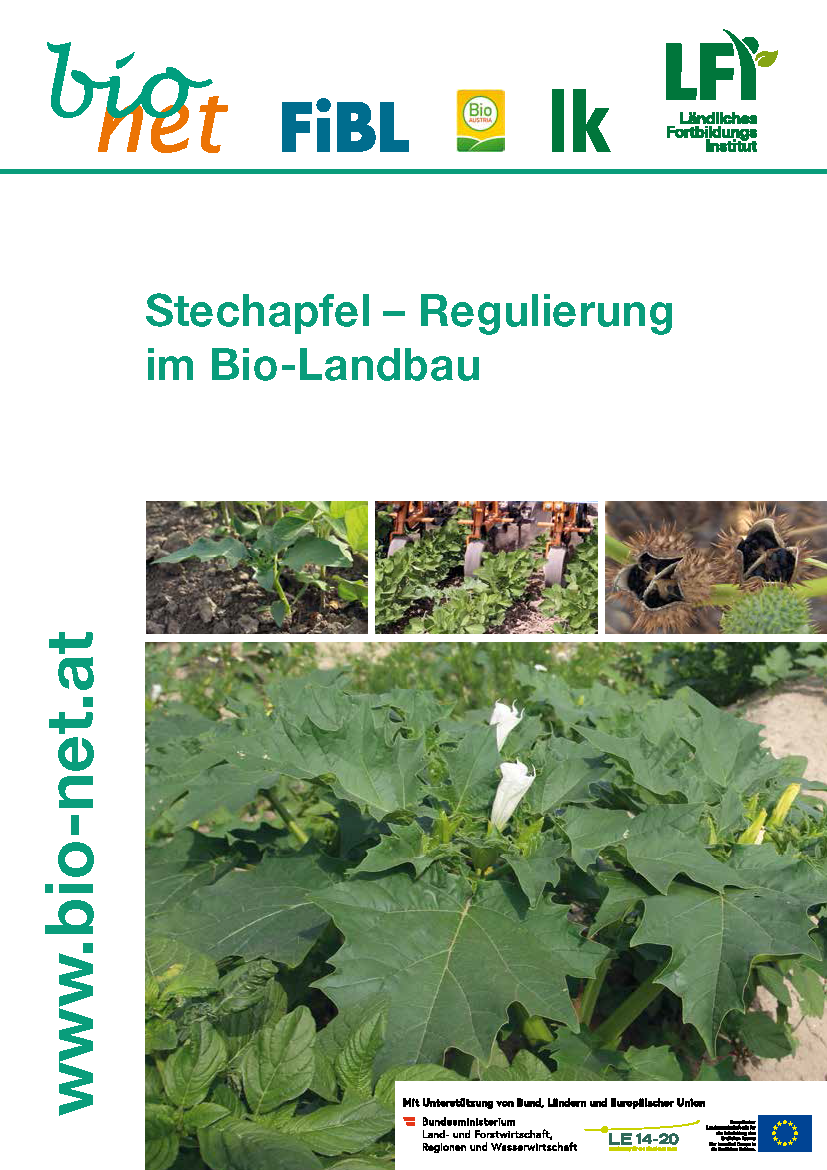 Cover: Stechapfel – Regulierung im Bio-Landbau